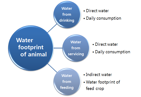 Fig. 3 Components of water footprint of animal