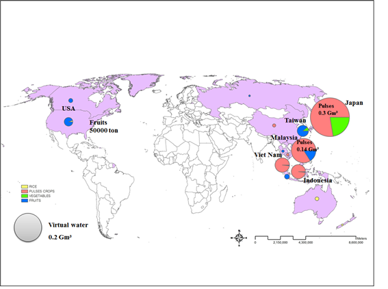 Fig. 7 Export of VW in Korea from 2006 to 2010