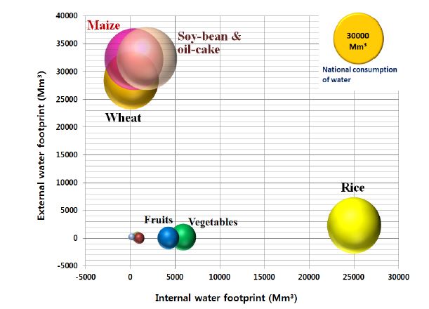 Fig. 11 Internal and external water footprint in Korea from 2006 to 2010