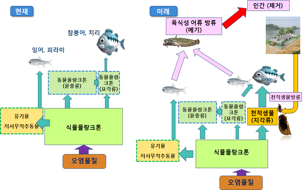 어류를 이용한 생물조절 연계 및 개선 방향