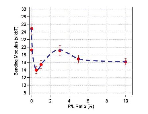 3 melittin/ lipid ratio를 달리한 직경 ~100nm 단층 DOPC 베시클의 굽힘 탄성률