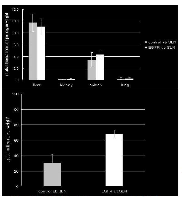 Upside: Relative cy5.5 signal from organs(liver, kidney, spleen and lung).
