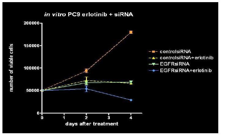 Cell viability assay of EGFR mutant human adenocarcinoma cell line PC9. Mutant EGFR targeting siRNA and erlotinib have shown significant synergistic effects.
