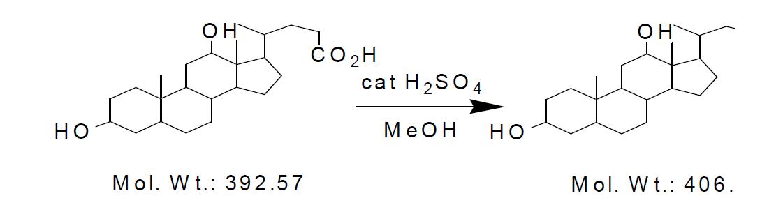 헤파린에 결합시키기 위한 담즙산 유도체(Et- DOCA)의 합성 scheme