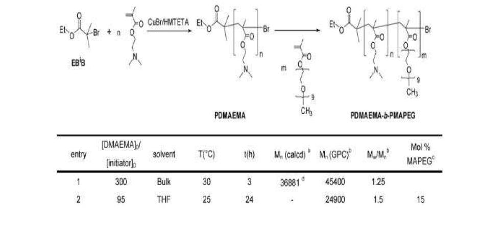 Copper(I)- mediated controlled/ living radical (co)polymerization of DMAEMA and PDMAEMA- b- MAPEG using EBiBinitiators.