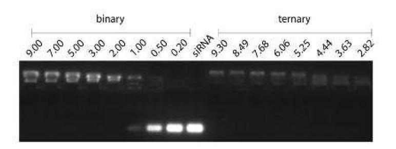 The ability of (co)polymers to complex with siRNA studied using a gel retardation assay.