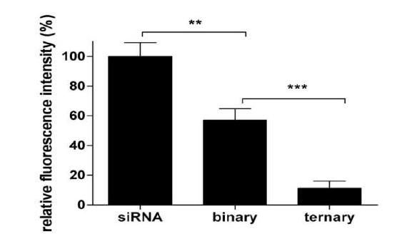 Efficiency of siRNA condensation with binary and ternary complexes studied by an EtBr exclusion assay