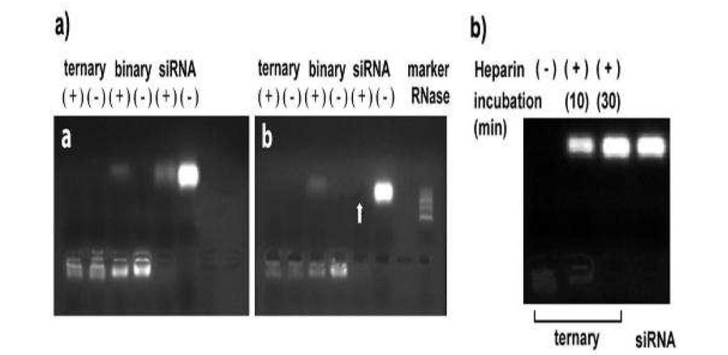 RNase protection assay and heparin- releasing test