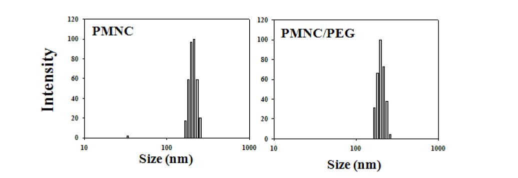 자성 과립형 나노 입자 (PMNC)와 PEG가 도입된 PMNC/PEG의 크기 측정 결과