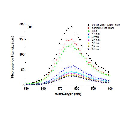 Fluorimeter measurements