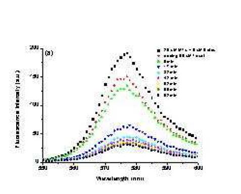 Fluorimeter measurements