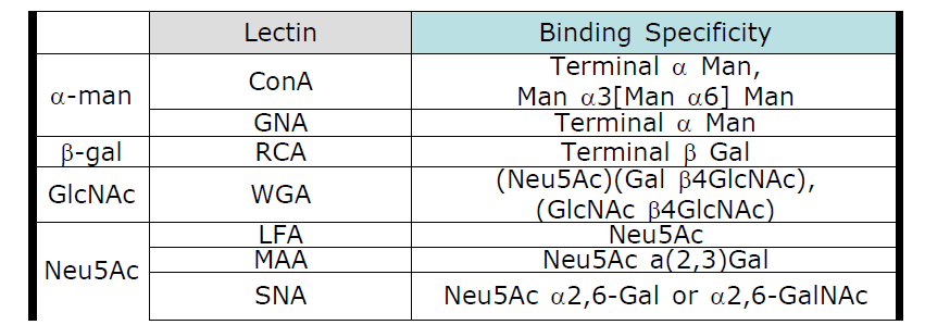 다양한 carbohydrate 와 그에 따른 당 단백질인 lectin 의 coupling