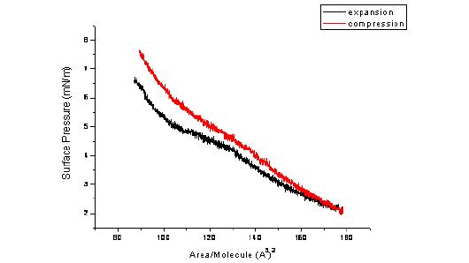 DPPC monolayer + type 1 collagen