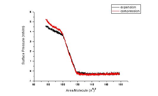 DPPC monolayer