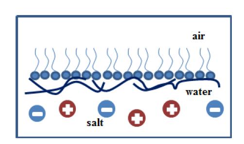Ionic strength effect