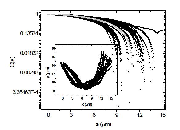 tangent- tangent correlation function
