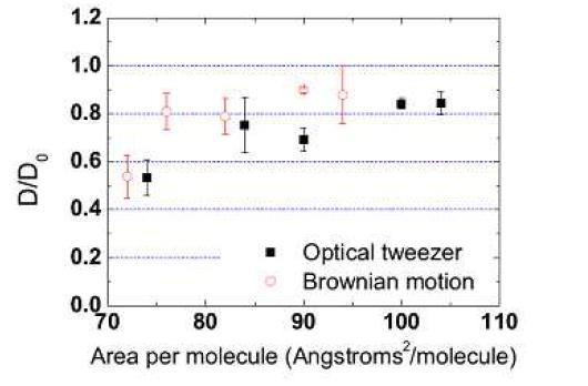 DPPC monolayer의 Diffusion constant