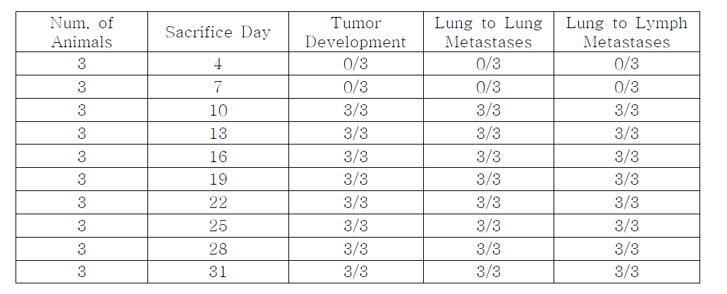 Results of 0.5x106 PC14PE cells inoculated group