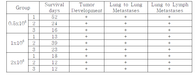 Results of the preliminary experiment