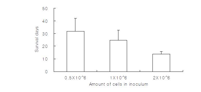 Average life span of three groups in the preliminary experiment