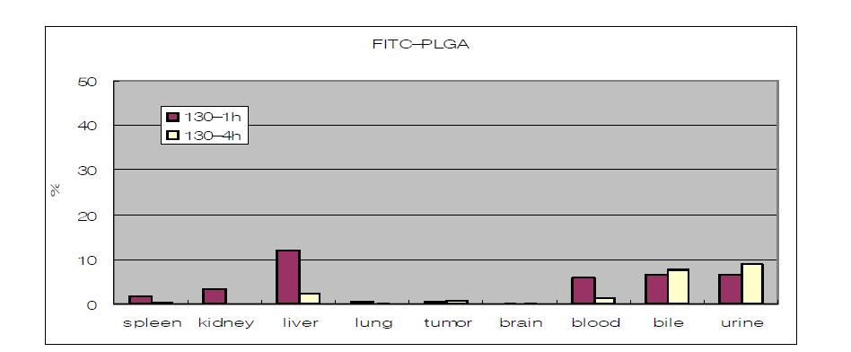 FITC- PLGA 나노입자의 암모델 생쥐내 체내 분포.