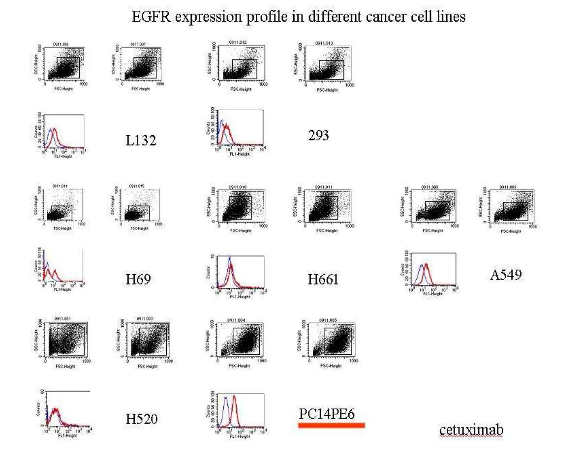EGFR expression profile in different human cancer cell lines(FACS)