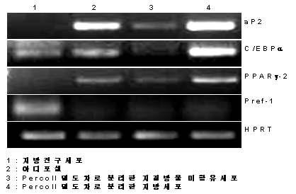 지질방울 미함유 세포의 유전자 발현.