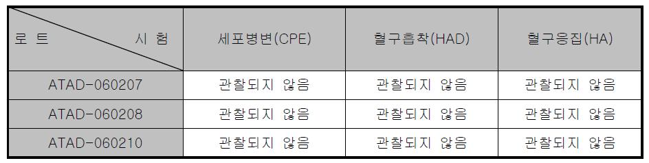 in vitro 세포 병변 및 혈구 흡착, 응집 관찰 결과