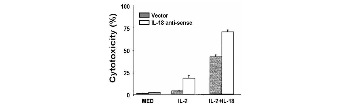 악성흑색종 세포에서 IL-18 발현억제를 통한 NK cytotoxicity