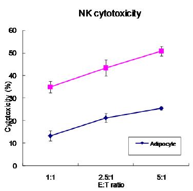 자연살해세포에 대한 지방세포와 지방줄기세포의 sensitivity 비교
