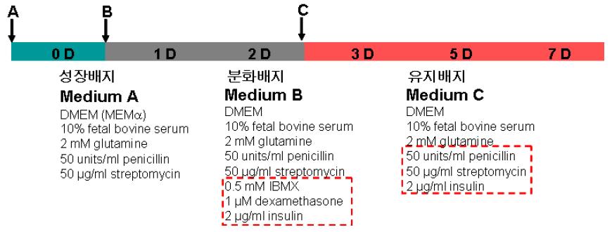 생쥐의 지방줄기세포를 분화시키는데 사용된 배지조성 및 조건