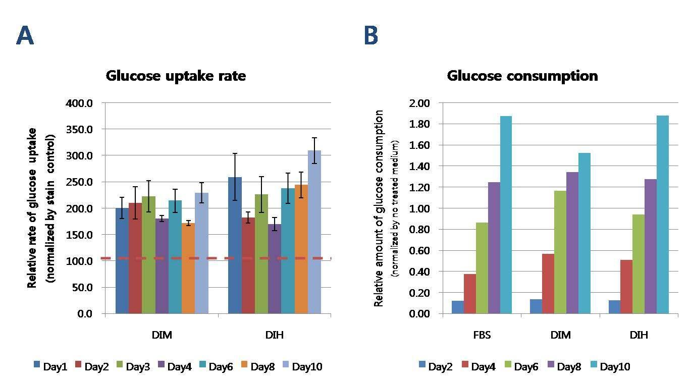 Glucose 흡수량과 소비량을 통한 DIH의 분화유도 기전 우수성 확인