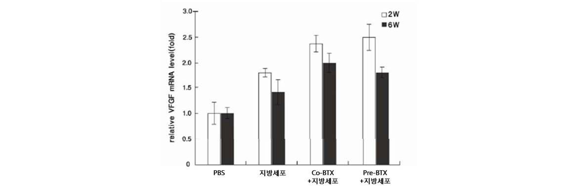 C57BL/6 마우스의 피하에 성숙한 지방 세포를 botulinum toxin adjuvant와 함께 이식 2주, 6주후 잔여 조직에서의 VEGF mRNA 발현 정도 비교