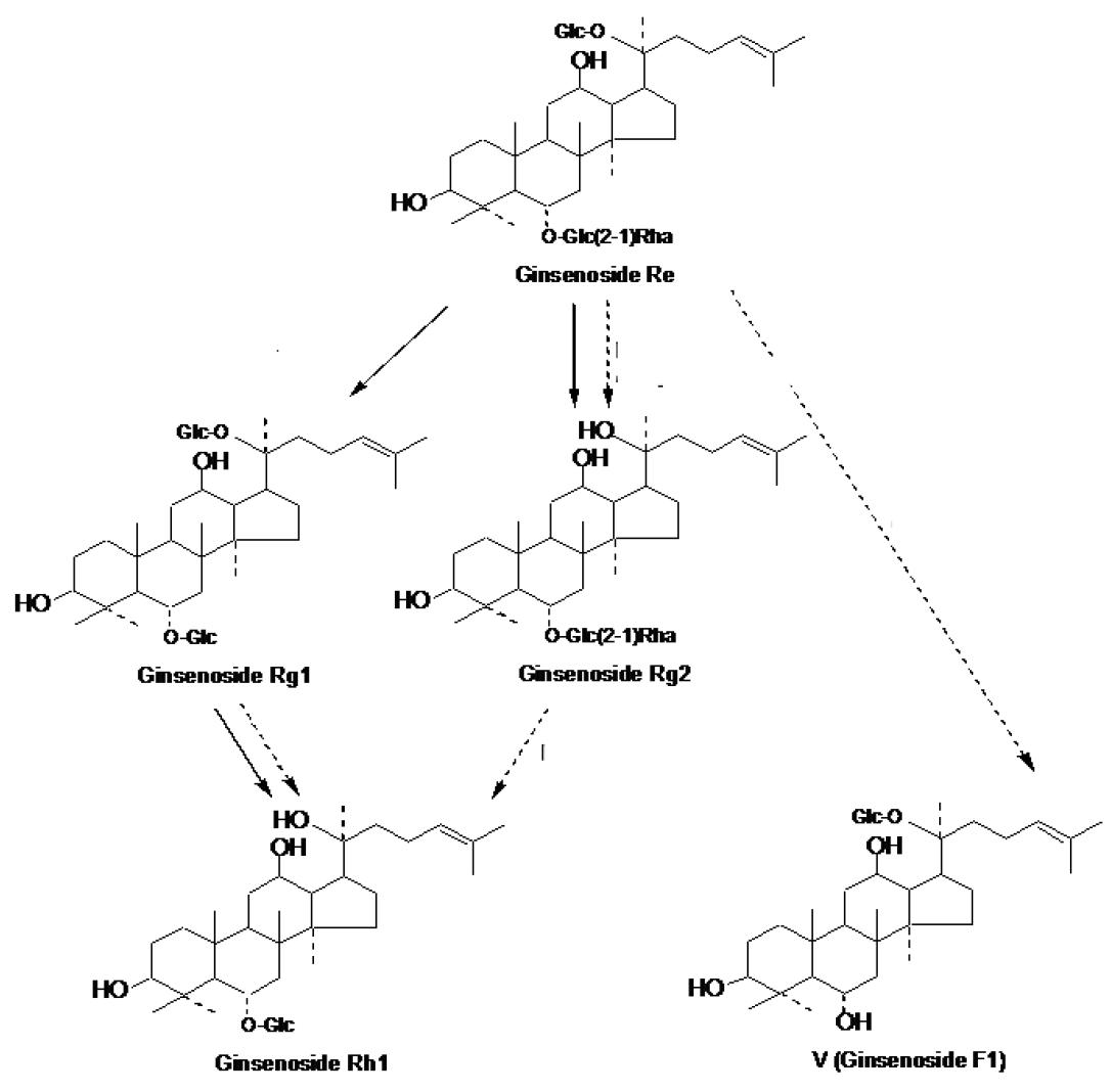 Putative bioconversion pathway of Rh1.