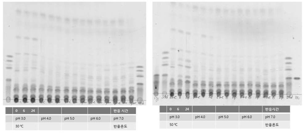 Conversion of ginseng at various pHs and temperatures.