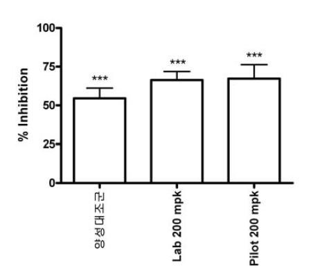 Lab. 및 Pilot scale(Batch 1)로부터 얻어진 황련추출물을 이용한 AG NPP709 진해활성