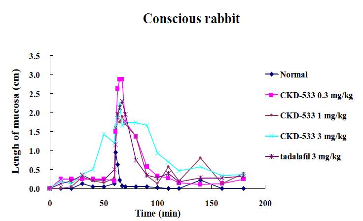 정상토끼에서의 CKD-533의 발기력
