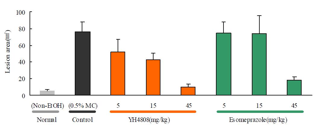 에탄올 유발 위염모델에 대한 YH4808의 효능