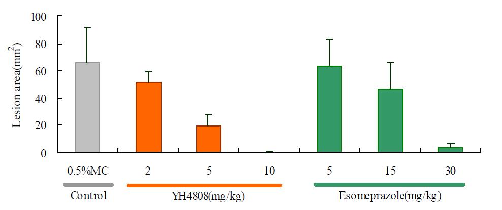 스트레스(WIRS) 유발 위염모델에 대한 YH4808의 효능