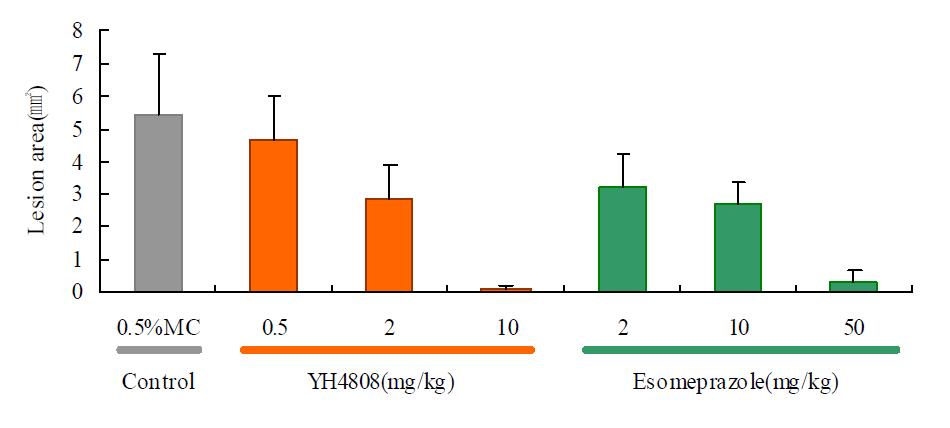 Indomethacin 유발 위염모델에 대한 YH4808의 효능