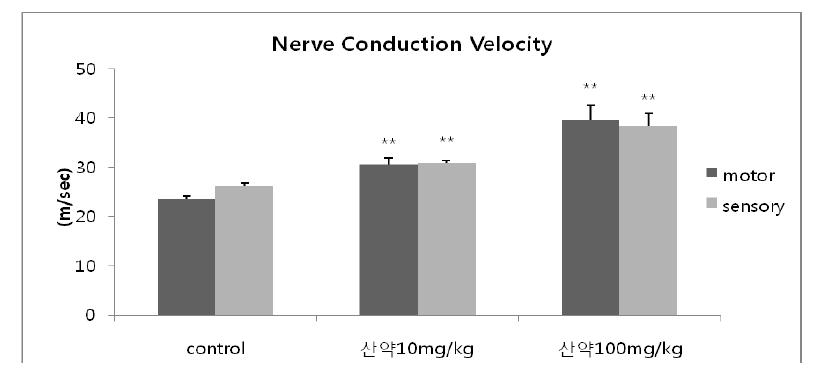 The effect of Dioscorea rhizoma on nerve conduction velocity of type 2 diabetic db/db mouse.