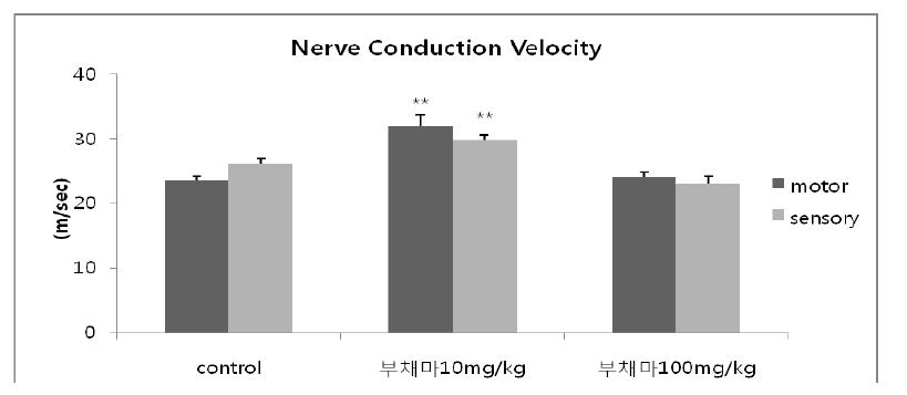 The effect of Dioscorea nipponica on nerve conduction velocity of type 2 diabetic db/db mouse.