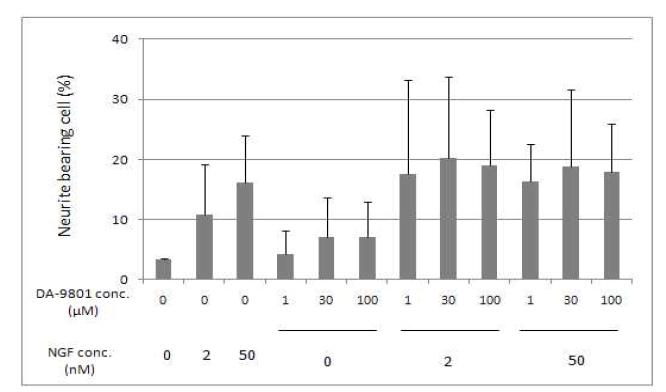 DA-9801처리 후 PC-12 cell의 신경돌기 유도세포 비율