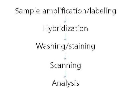 Assay workflow