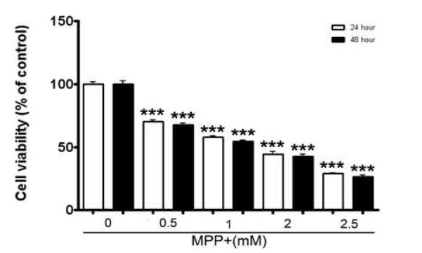 Toxicity of MPP+ at various times and concentrations measured by MTT assay