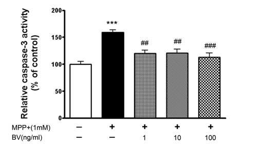 BV inhibited MPP+-induced increase in caspase-3 activity