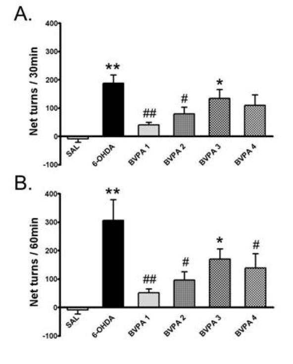 Effect of BVPA on the apomorphine-induced rotation in 6-hydroxydopamine(6-OHDA)-treated rats