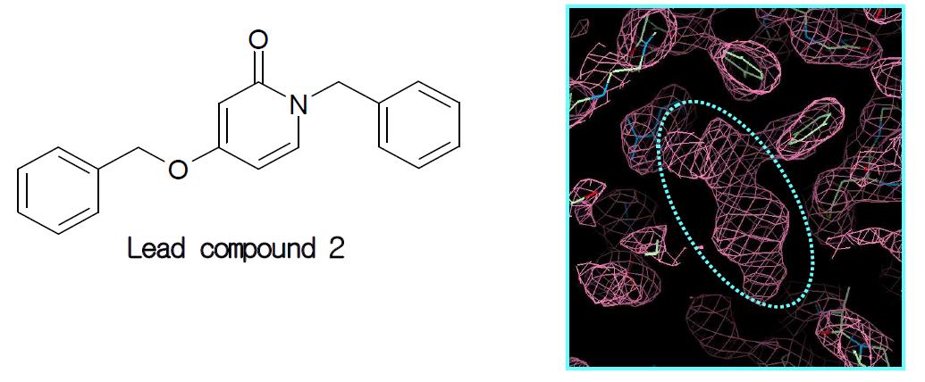 Lead compound 2와 그 3차원 복합 구조