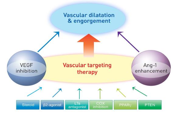 Figure 9. Vascular targeting therapy in asthma