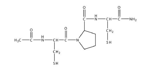 Figure 10. Structure of CB3